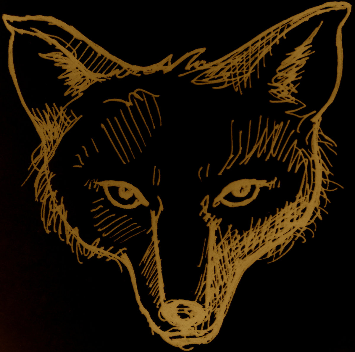 Nuwisha, Portland’s Eco-Neofolk Band Bringing DIY Back to the&nbsp;Scene