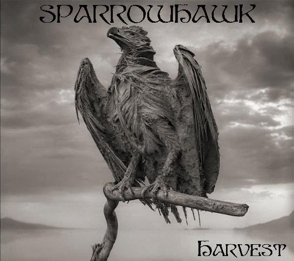 Sparrowhawk’s Brief Life Is a Milestone in Antifascist&nbsp;Neofolk