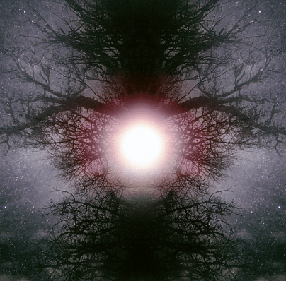 Screen Shot 2019-06-11 at 4.32.42 PM