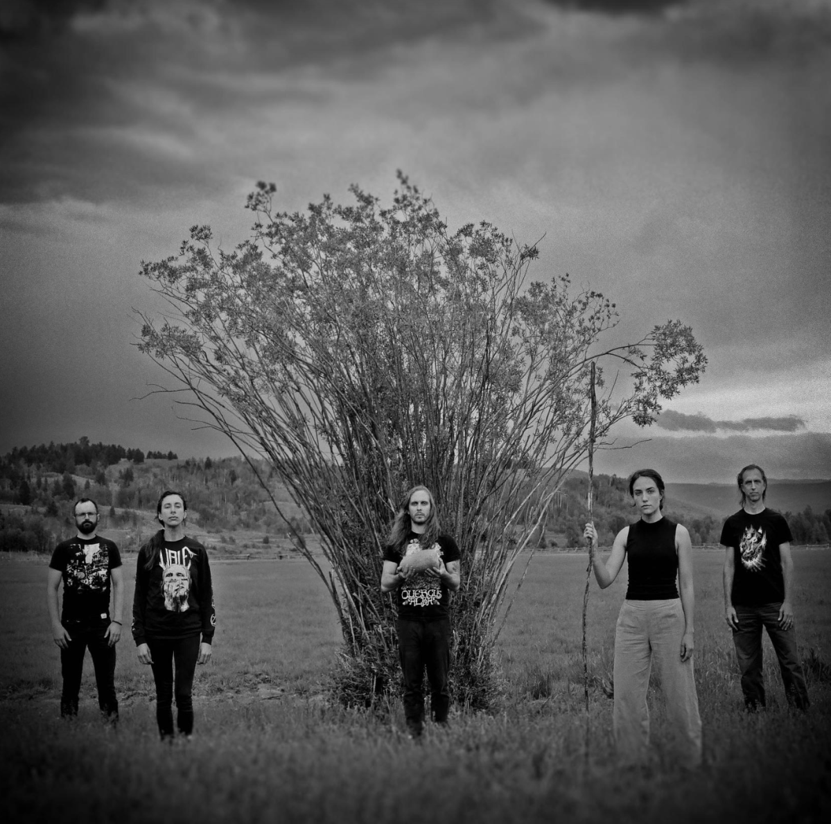 A Story Echoed Through Time: An Interview With Forêt&nbsp;Endormie