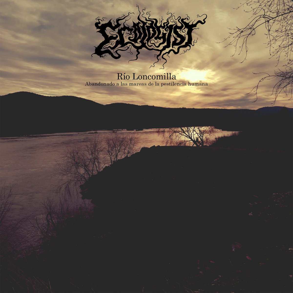 A Biocentric Future: Interview With&nbsp;Ecologist