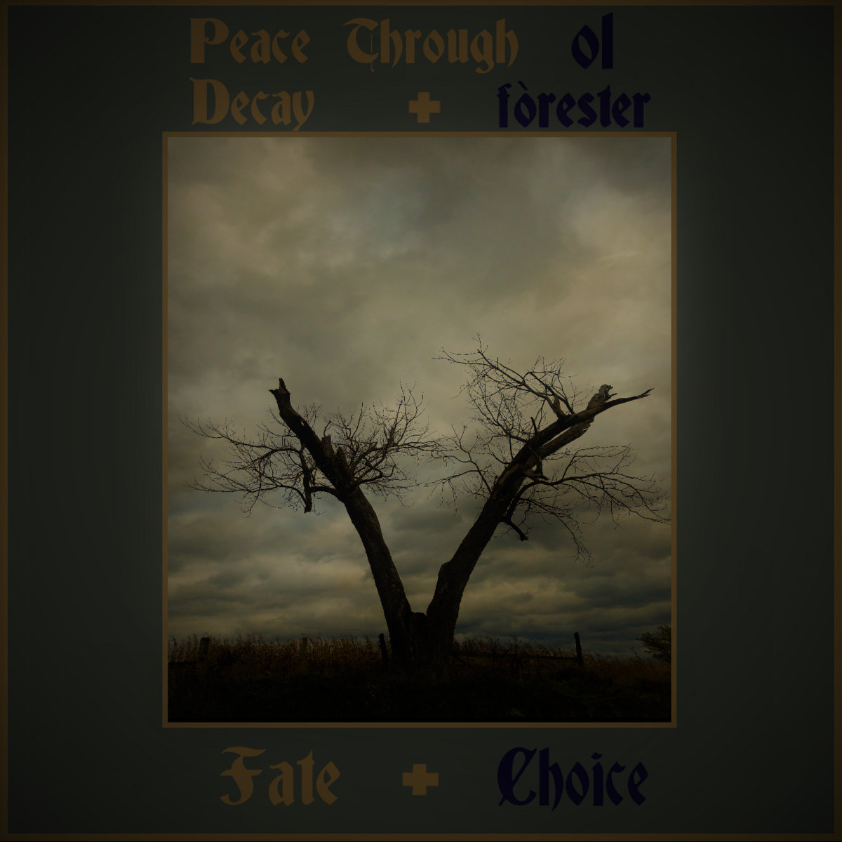 Peace Through Decay and ol fòrester’s New Split: Fate and&nbsp;Choice